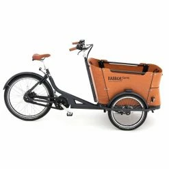 Babboe Curve Mountain E-Lastenfahrrad 400 Wh | Robustes E-Bike für Familien