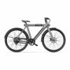 Bird Bikes E-Bike Citybike 28" Herren - Elegantes E-Cityrad für den urbanen Lifestyle