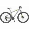 Bulls Raptor Disc Mountainbike Hardtail 29" - Robustes MTB für Geländefahrten