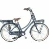 Popal Daily Dutch Prestige EN3 E-Cityrad | Premium E-Bike für den Alltag