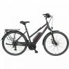 Triumph E-Bird Plus 8K E-Citybike - Premium E-Bike für Stadtfahrten