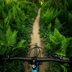 Vittoria Mazza Trail MTB-Reifen (27,5") - Hochwertiger Mountainbike-Reifen für Offroad-Abenteuer 12 Vittoria Mazza Trail MTB-Reifen (27,5") - Hochwertiger Mountainbike-Reifen für Offroad-Abenteuer -E-Bikes Verkaufsgeschäft vittoria mazza mtb reifen 2020 306575 f2